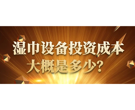 濕巾設(shè)備投資成本大概是多少？