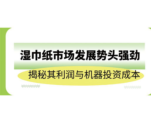 濕巾紙市場(chǎng)發(fā)展勢(shì)頭強(qiáng)勁，揭秘其利潤與機(jī)器投資成本