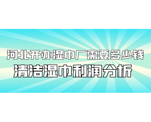 河北開辦濕巾廠需要多少錢(附清潔濕巾利潤分析)